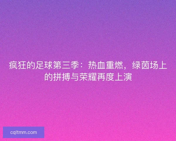 疯狂的足球第三季：热血重燃，绿茵场上的拼搏与荣耀再度上演