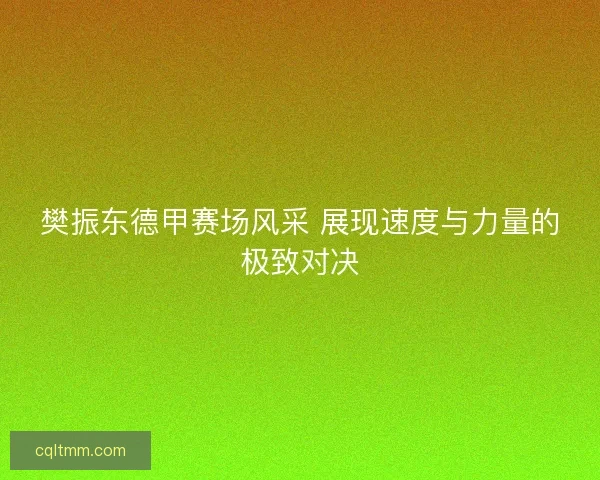 樊振东德甲赛场风采 展现速度与力量的极致对决