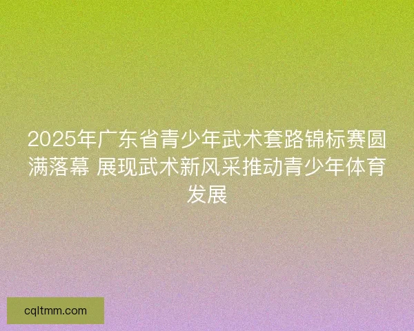 2025年广东省青少年武术套路锦标赛圆满落幕 展现武术新风采推动青少年体育发展