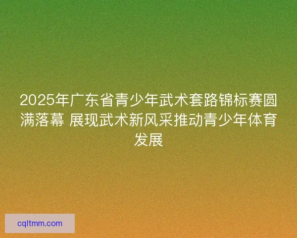 2025年广东省青少年武术套路锦标赛圆满落幕 展现武术新风采推动青少年体育发展