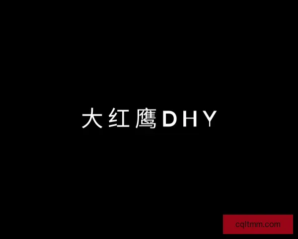 关于大红鹰DHY